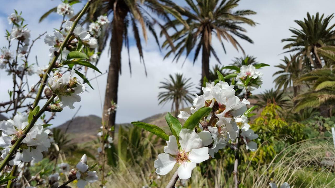 El Pirguan Holiday House, Your Oasis In La Gomera Vallehermoso Exterior photo