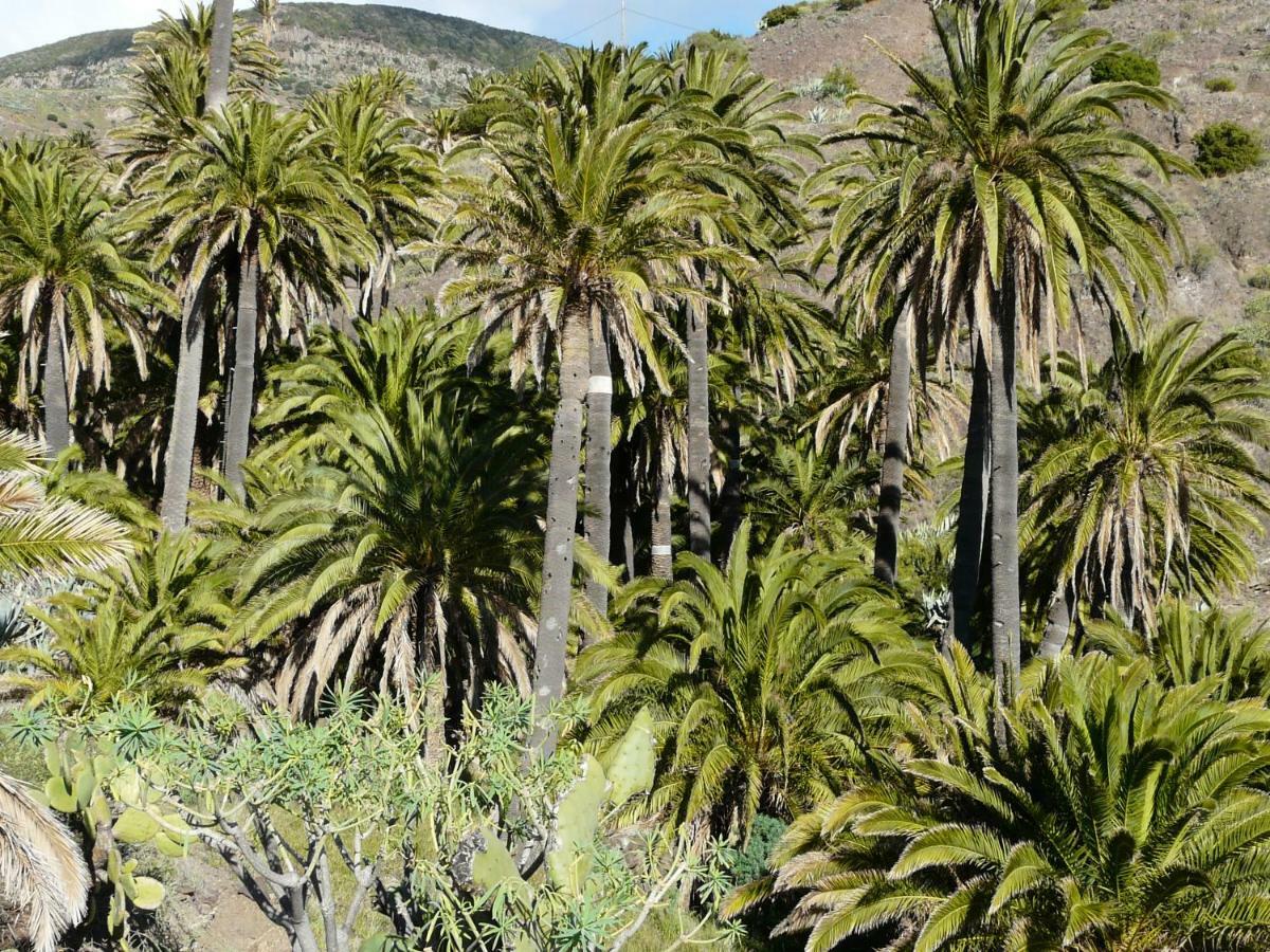 El Pirguan Holiday House, Your Oasis In La Gomera Vallehermoso Exterior photo