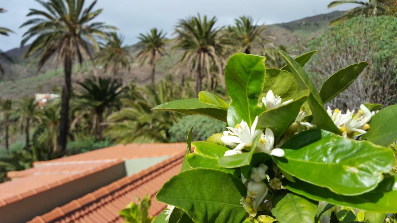 El Pirguan Holiday House, Your Oasis In La Gomera Vallehermoso Exterior photo