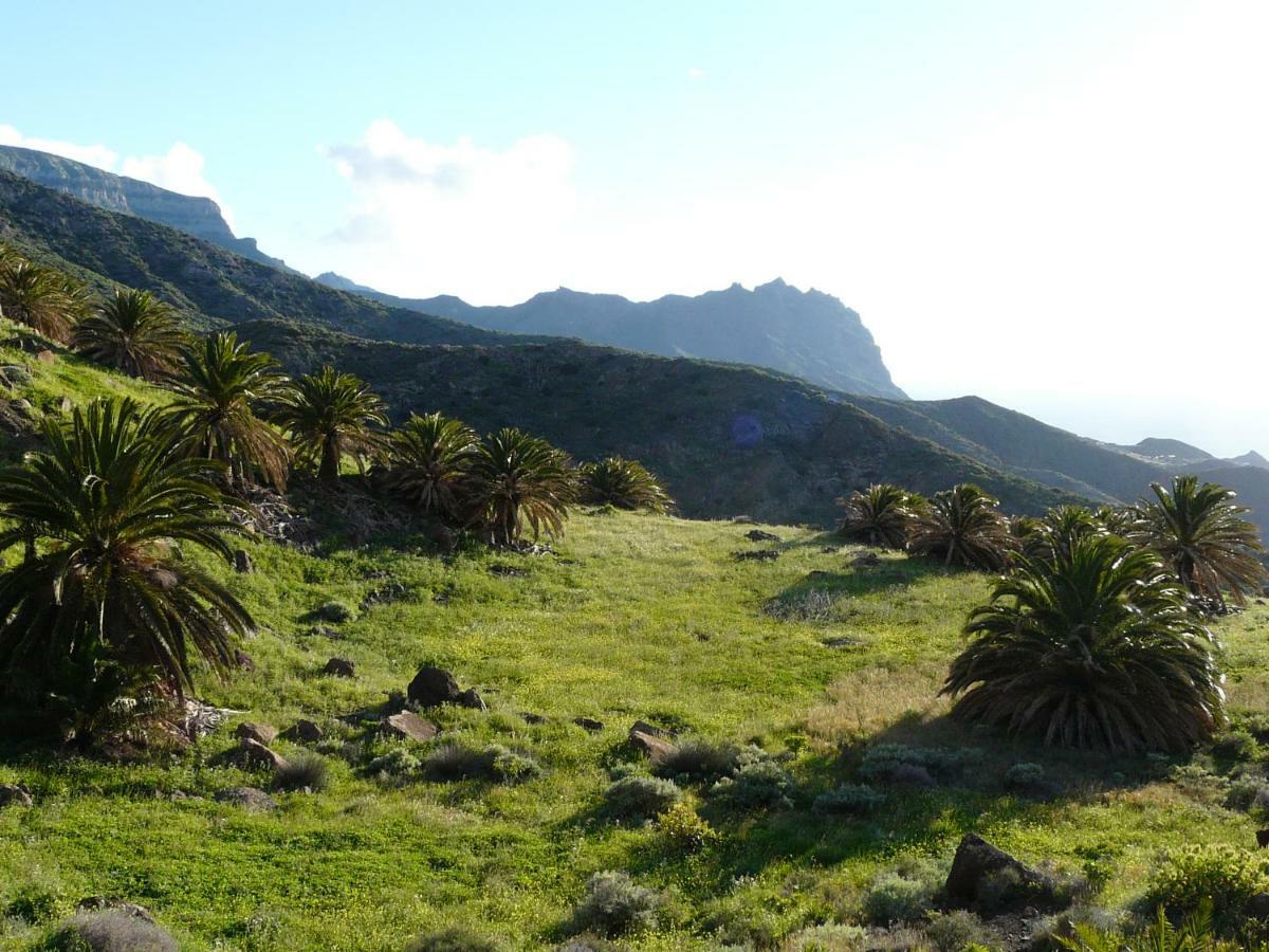El Pirguan Holiday House, Your Oasis In La Gomera Vallehermoso Exterior photo