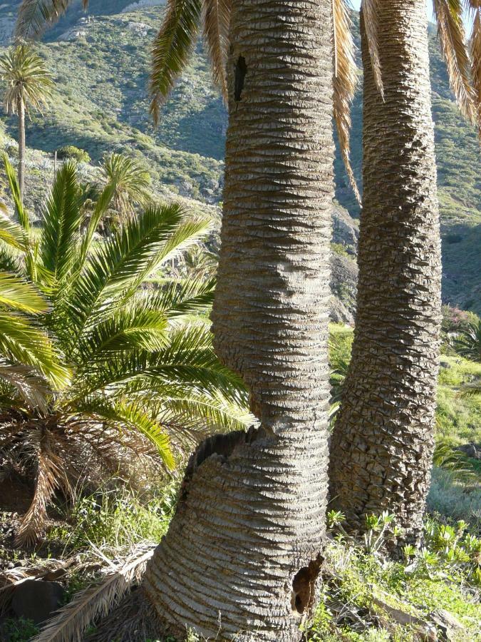 El Pirguan Holiday House, Your Oasis In La Gomera Vallehermoso Exterior photo