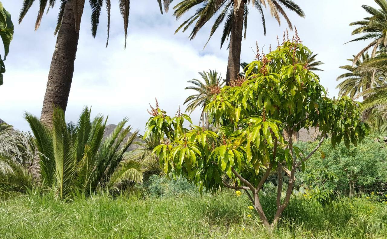 El Pirguan Holiday House, Your Oasis In La Gomera Vallehermoso Exterior photo
